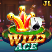 Wild Ace related game artwork